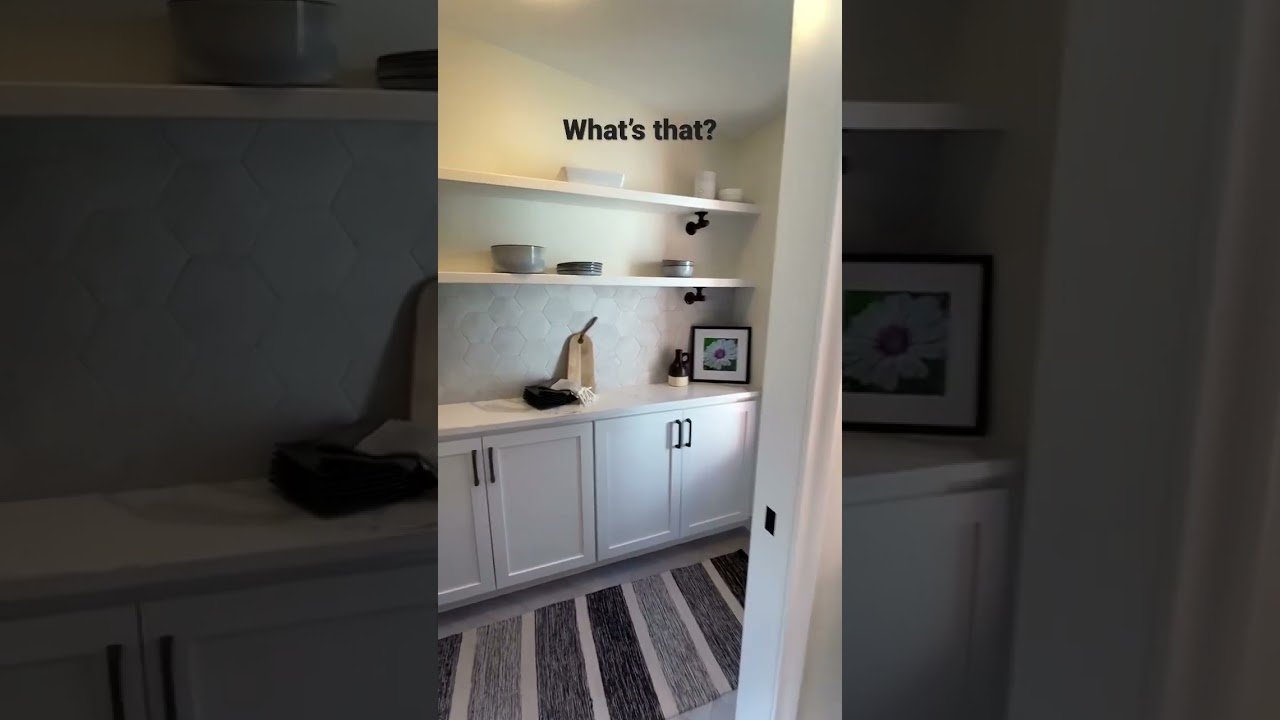 A butler’s pantry in your kitchen gives you so much storage even if it’s small! 