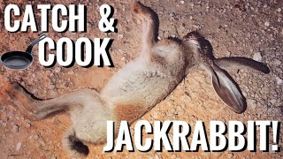 Can You Eat A Jackrabbit? Catch And Cook/ Dutch Oven Recipe screenshot 1
