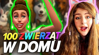 Download Lagu 100 ZWIERZĄT CHALLNGE - KONIEC! MP3 Download Lagu 100 ZWIERZĄT CHALLNGE - KONIEC! MP3
