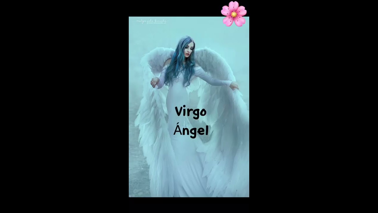  Los Signos Y Sus Vidas Pasadas Pt 1