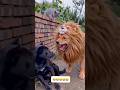 Wait for end 😂😂#cat #dog #comedy #trendingshorts #shortsfeed #shorts #youtubeshorts #reels
