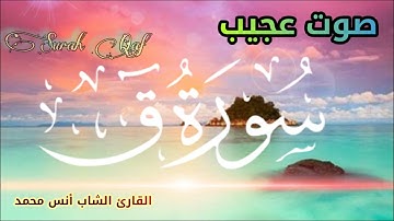 صوت رائع القارىء الصاعد الشاب أنس محمد 🌿 سورة  ق❤️ Amazing Reaction 🌹 Surah Qaf