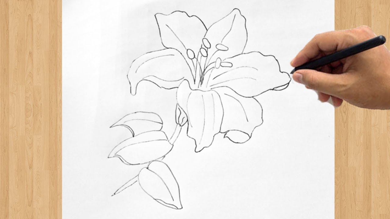 Orchid Flower Hand Drawing Digital Download - Etsy