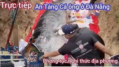 Trực tiếp an táng cá ông ở Đà Nẵng phong tục nghi lễ địa phương 