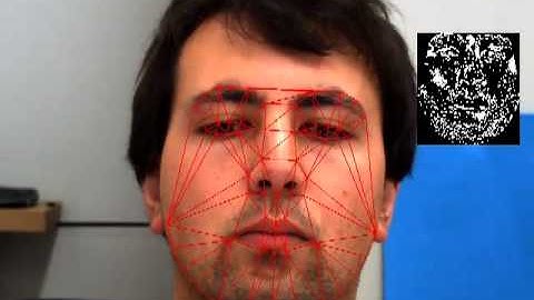 Robust Active Apperance Models