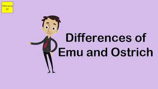 Differences of Emu and Ostrich