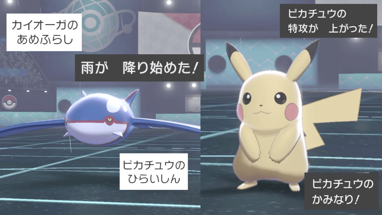 ピカチュウとカイオーガのコンビ相性よすぎww Youtube