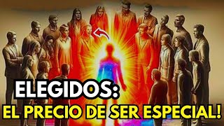 8 razones por las que la gente odia a los Elegidos?