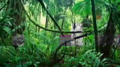 JUNGLE Beat-Xənøbəats