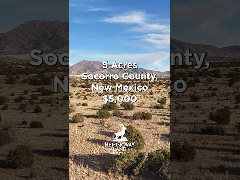 New Mexico Land