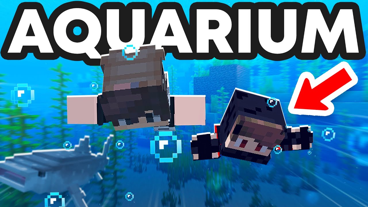 On CONSTRUIT un AQUARIUM GÉANT sur notre SERVEUR MINECRAFT !