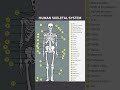 Skeletal System Overview #skeletalsystem