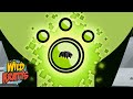 Tardigrade Adventure Quiz