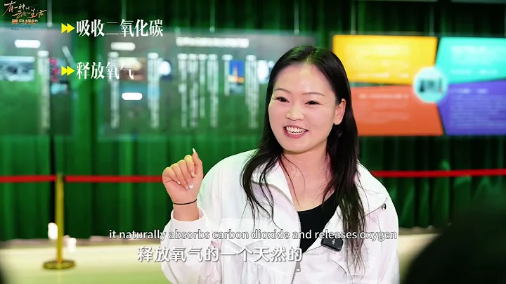 Hundred-Sport Event·Popular Science Research: Exploring the Secrets of Chenghai Spirulina thumbnail