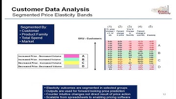 Price Elasticity in B2B - An Opportunity for Price Improvement