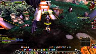 World Of Warcraft Level 90 Hunter