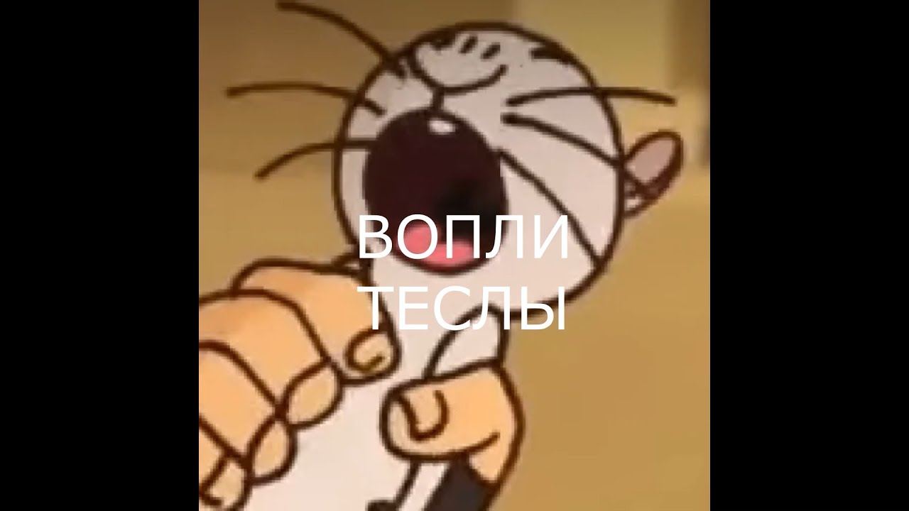 Новаторы тесла показывает средний палец