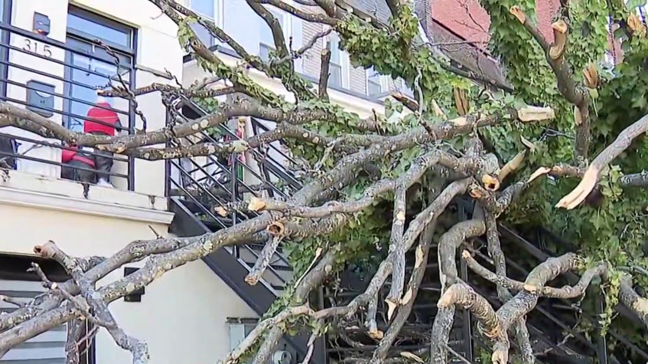 Cleanup underway after high winds cause damage and power outages | NBC4 ...