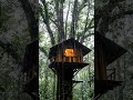 Hidden Jungle Treehouse  #calminframes #rain #rainoundforsleep