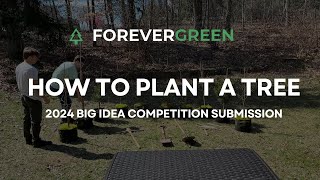How to Plant a Tree with Forevergreen | Big Idea Competition