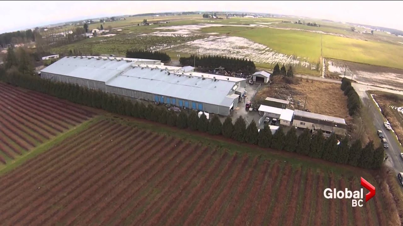 150127Langley grow-op bust