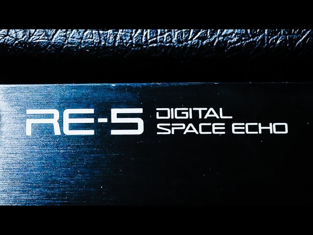 Roland DIGITAL SPACE ECHO RE-5 テープエコー Roland RE-5 Digital Space Echo | 1980s Japan Vintage Rack