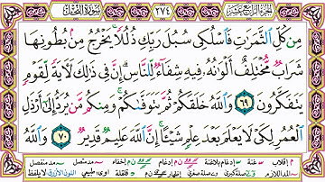 القرآن الكريم مقسم صفحات | الشيخ حاتم فريد | سورة النحل | صفحة 274 مكتوبة | مصحف التجويد الملون