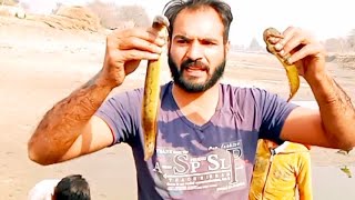 Net fish catching fish catching machli ka shkar amzing fish catch fish hunting hand fish catching fi