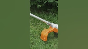 Trim to Your Heart’s Desire