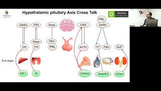 MedEClasses Module Pituitary Cross Talks