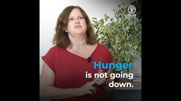 World hunger is still not going down after three years and obesity is still growing – UN report