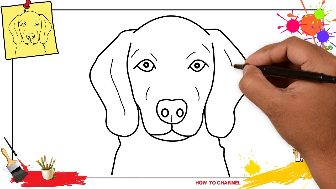 How To Draw A Dog Face Head 3 Easy Slowly Step By Step For Kids And