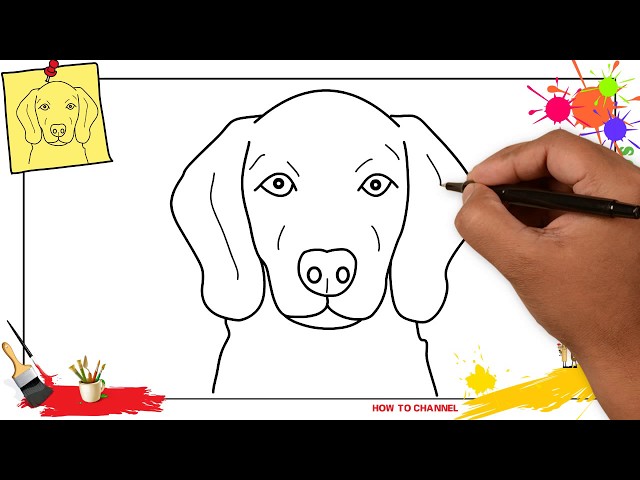 How To Draw A Dog Face (Head) 3 Easy & Slowly Step By Step For Kids And  Beginners - Youtube