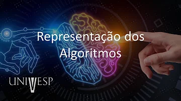 Quais são os dois tipos de representações mais utilizados em algoritmos?