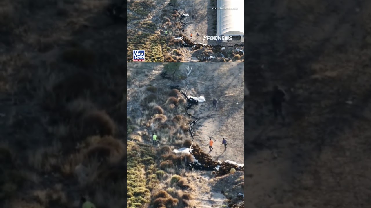 SEE IT: Suspects flee as police bust MAJOR cannabis operation #foxnews #news #us #fox