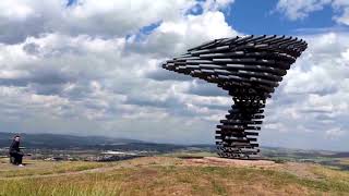 Panopticans  - The singing ringing tree