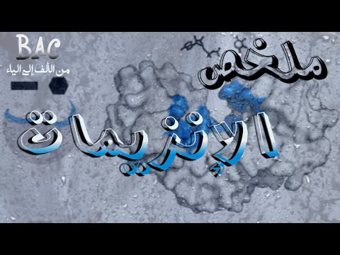 اضبطها صح ملخص شامل لوحدة الانزيمات افكار ومصطلحات علمية وخرائط ذهنية بكالوريا التميز