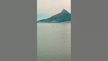 تلاوة عذبة من سورة فاطر 🌊🌳✨