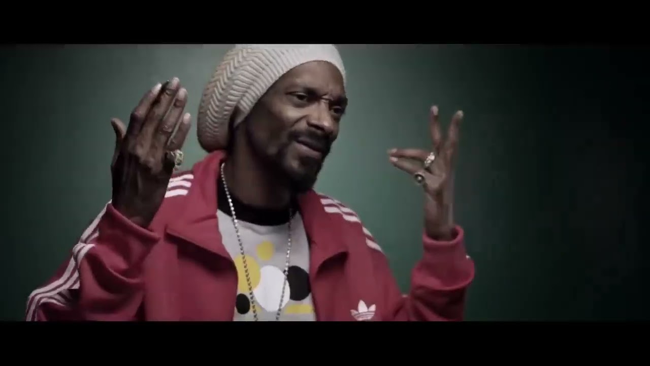 METHOD MAN & DMX & SNOOP DOGG & NAS  -  Bring it back music video mix