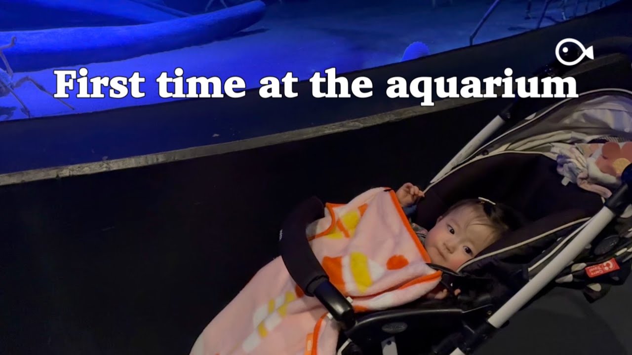 Hi-chan’s first time at the aquarium