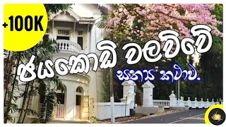 Download lagu ජයකොඩි වලව්ව | Jayakody Walawwa | Documentary | Chala Ruu Production