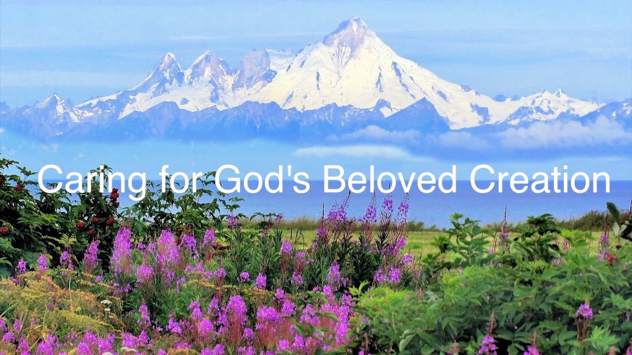 Caring for God's Beloved Creation  | Steve Pitkanen + Kristine Mannion | A Hymn for St. Mark's