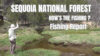 Fishing Report for the Kern River, Creeks and Lake Isabella