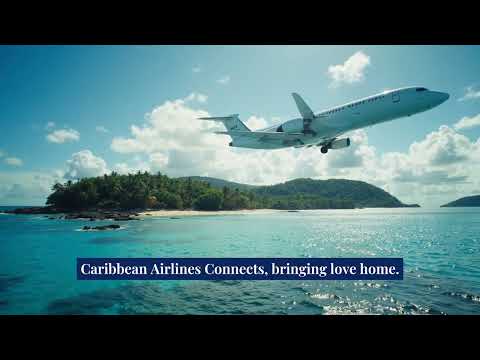 School Day Dreams Album Cover