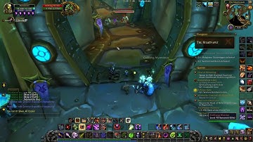 The Steamvault Dungeon run