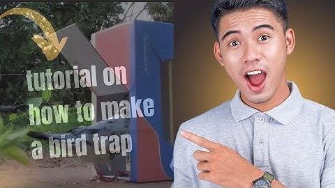 "He Built a Bird Trap Using Only Cardboard | Genius DIY Forest Survival Skill!"(@bird trap channel)