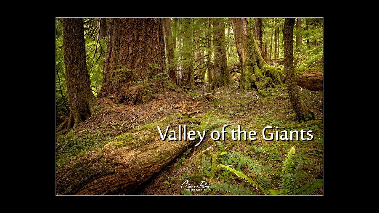 The Valley of the Giants