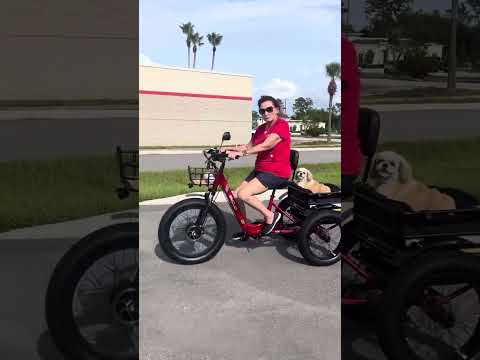 Emojo Bison Pro Test Ride@NewLifeEbikeCo