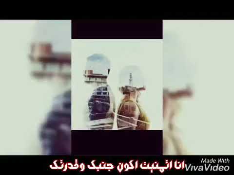 حالات واتس تامر عاشور ماتختلفيش