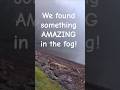 Best Beach had an incredible surprise!